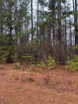Residential Land Near Lake Marion