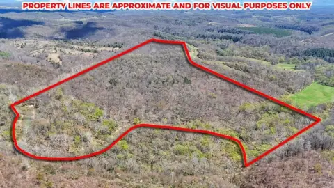 Recreational Hunting Land with Creek Access