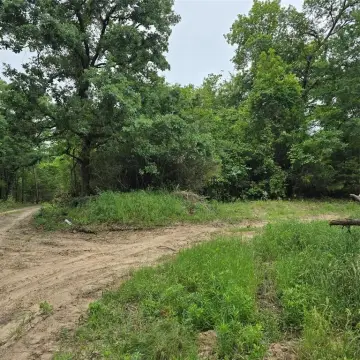 Secluded Wooded Acreage Near Lake