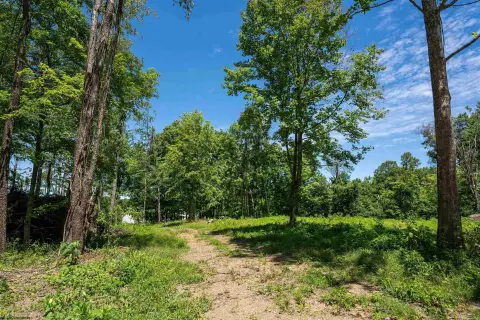 Residential Land in Cheat Lake