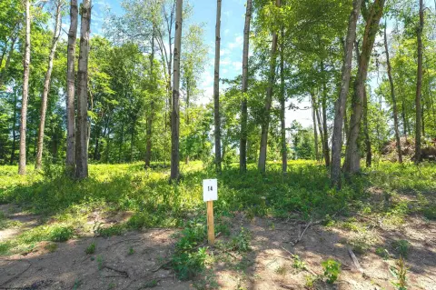 Residential Land in Cheat Lake
