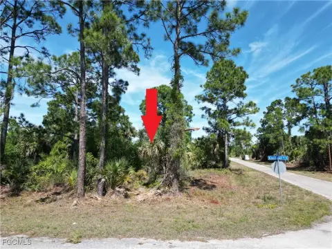 Oversized Corner Lot in Lehigh Acres