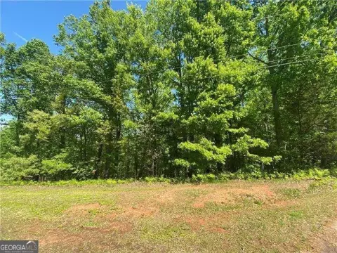 Gainesville Land Opportunity