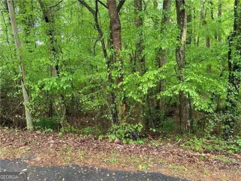Land Opportunity Near Lake Lanier
