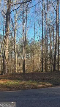 Land Opportunity in Snellville, GA