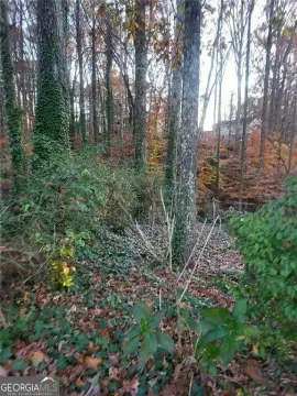 Land Opportunity in Lawrenceville