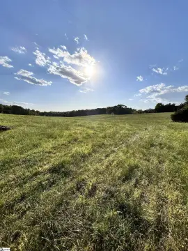 Pond-Adjacent Mini-Farm Land