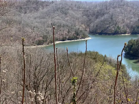 Burkesville Land Overlooking Dale Hollow