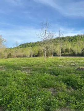 Agricultural Land with Stream and Pond