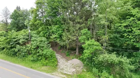 Wooded Country Lot with Driveway