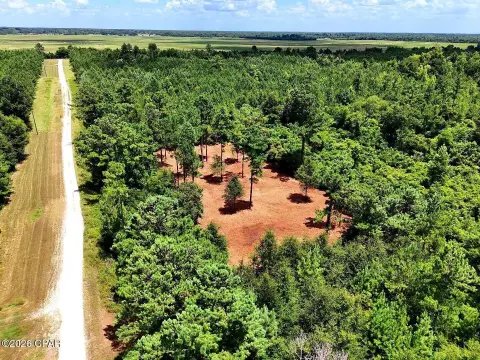 Residential Homesite Acreage