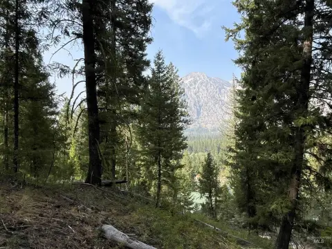 Wooded Recreation Land