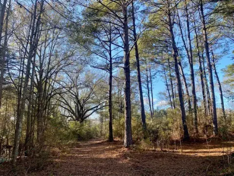 Acreage Land with Trail Access
