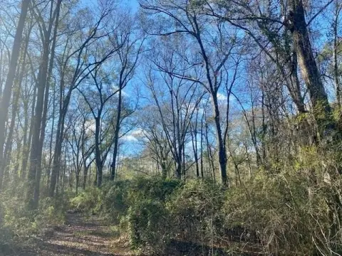 21.8 Acres in North Pike