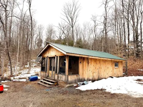 Secluded Woodland Retreat with Cabin