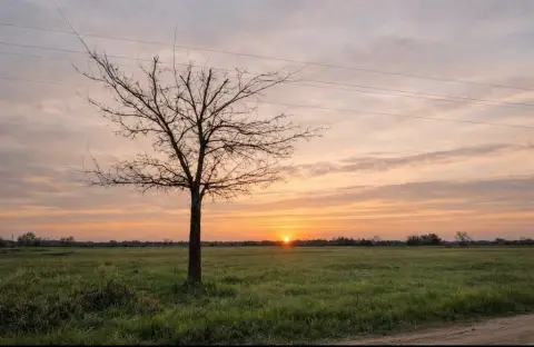 Residential Land in Prairiland ISD
