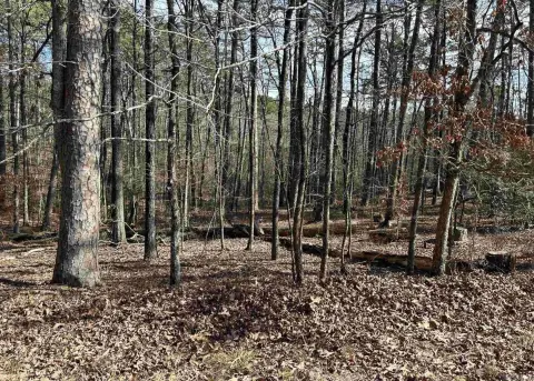 Residential Land in Hot Springs