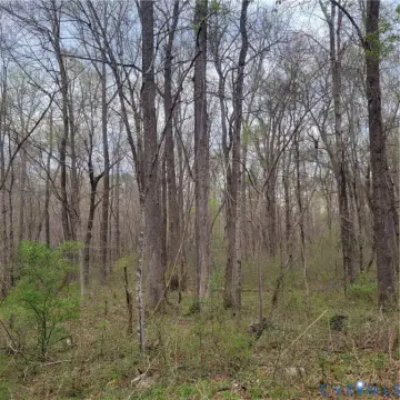 Residential Land in Winterpock Area