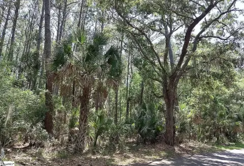 Cul-de-Sac Residential Homesite