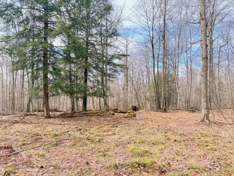 Scenic Wooded Land Near Allegheny River