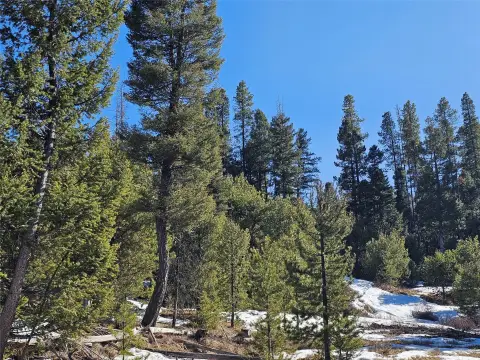 Helmville, Montana Timbered Land