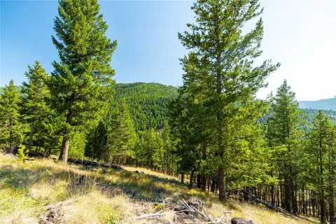 Residential Land Lot with Utilities