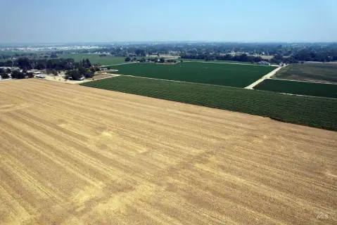 Irrigated Agricultural Land