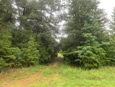 Hunting and Homesite Land