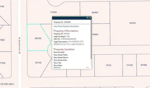 Horizon City Vacant Lot