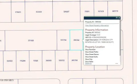 Horizon City Vacant Lot