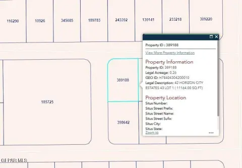 Horizon City Vacant Lot