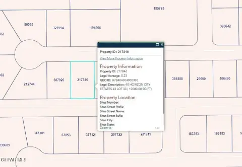 Horizon City Vacant Lot