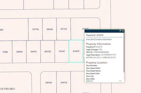 Horizon City Vacant Lot