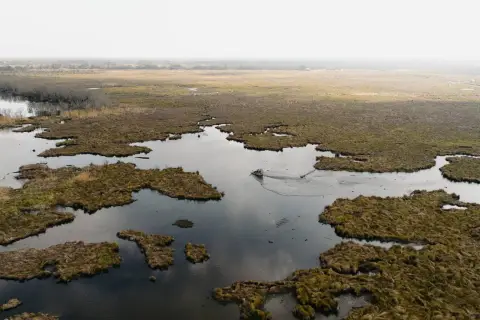 Coastal Marsh Hunting Land