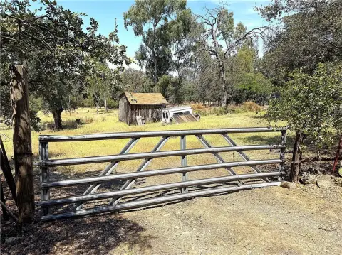 Sloped Residential Land with Driveway