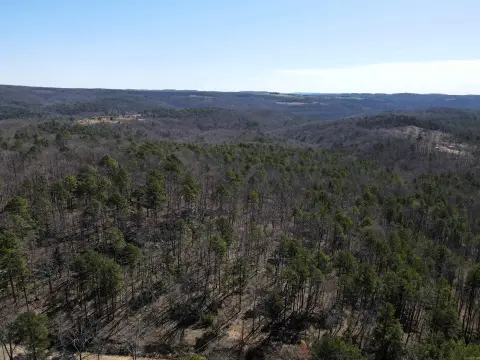 Hunting Land with Spring-Fed Creek