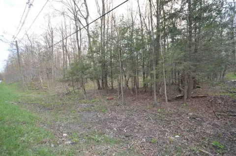 Private Wooded Acreage Near Harbor