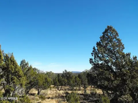 Residential Land Homesite