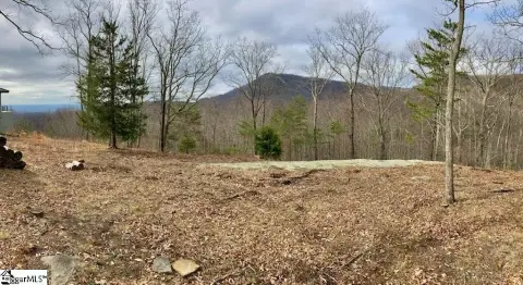 Landrum Residential Lot with Views