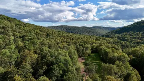 Mountainous Wooded Land