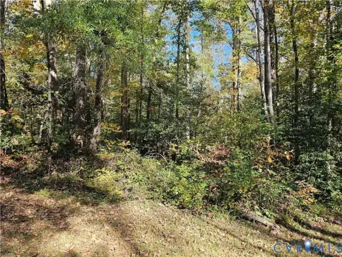 5.26 Acre Treed Lot