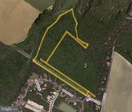 41 Acre Wooded Parcel