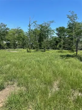 Land For Sale Dodd City