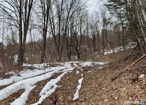 Residential Land in Thomaston, CT