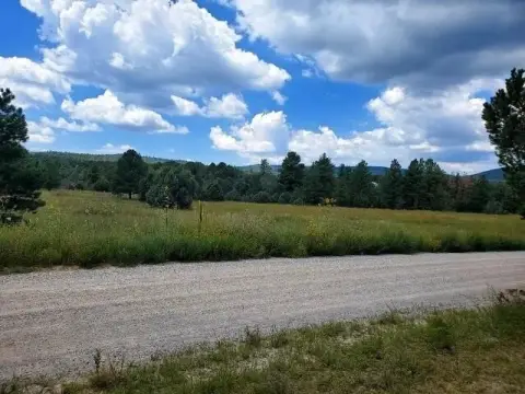 Tijeras Land with Ponderosa Pines