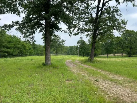 Land with Pecan Orchard