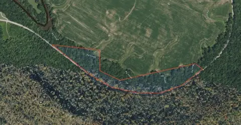 Hunting Land with Road Frontage