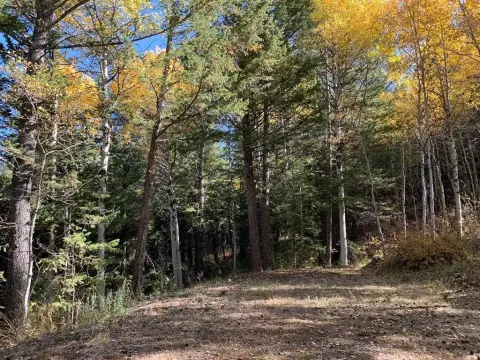 Recreational Land Parcel with Private Well