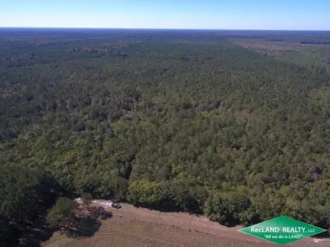 Hardin County Timberland Hunting Tract