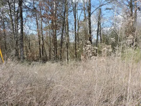 Arkansas Land with Creek Frontage